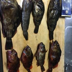 極寒のガシリングで6目釣り